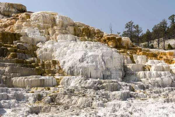 Varma Källor Och Kalkstensformationer Mammoth Hot Springs Wyoming Amerika — Stockfoto