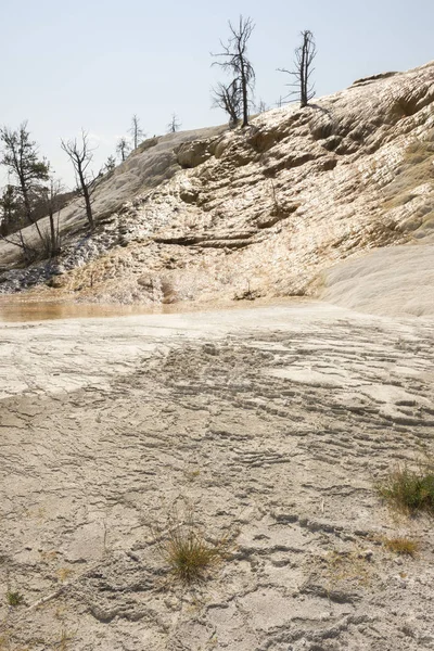 Thermal Springs Limestone Formations Mammoth Hot Springs Wyoming America — Stock Photo, Image