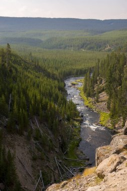 Gibbon Wyoming Yellowstone Milli Parkı 'nda Falls