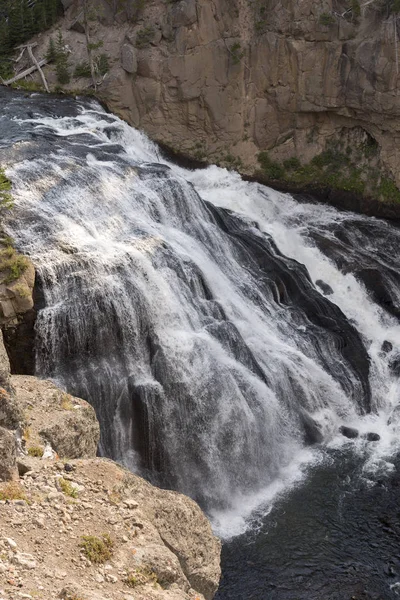 Gibbon Falls Parque Nacional Yellowstone Wyoming —  Fotos de Stock