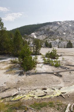 Wyoming 'de Yellowstone Milli Parkı 'nda Norris şofben geri Havzası