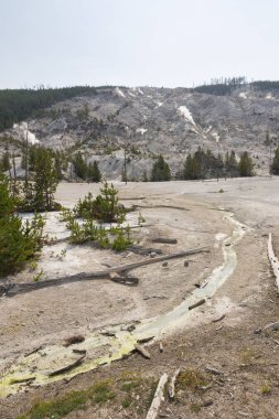 Wyoming 'de Yellowstone Milli Parkı 'nda Norris şofben geri Havzası