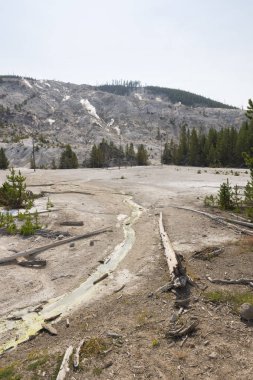 Wyoming 'de Yellowstone Milli Parkı 'nda Norris şofben geri Havzası