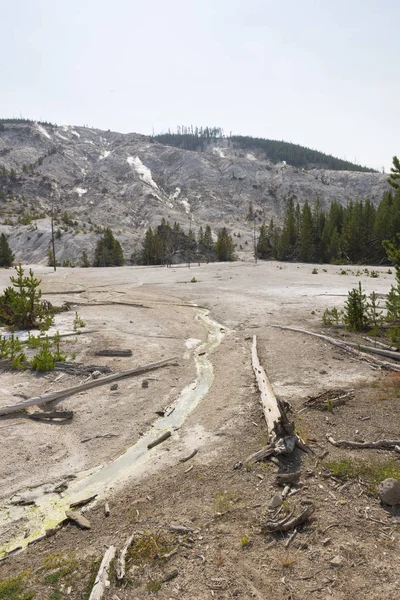 Wyoming 'de Yellowstone Milli Parkı 'nda Norris şofben geri Havzası
