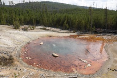 Wyoming 'de Yellowstone Milli Parkı 'nda Norris şofben geri Havzası