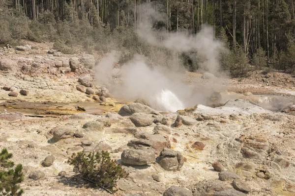 Norris Geyser Back Basin Parque Nacional Yellowstone Wyoming — Foto de Stock