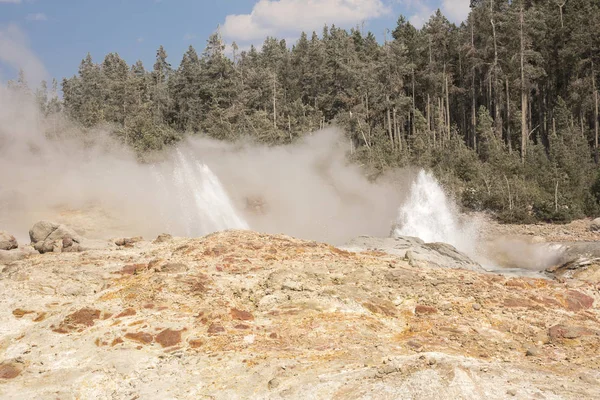 Norris Geyser Terug Bekken Yellowstone National Park Wyoming — Stockfoto