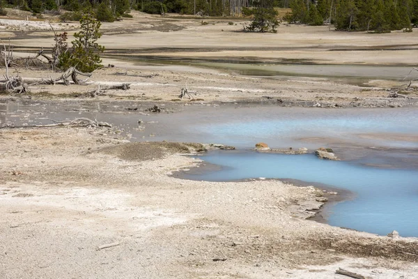 Norris Geyser Back Basin Parque Nacional Yellowstone Wyoming — Foto de Stock