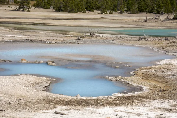 Norris Geyser Nel Parco Nazionale Yellowstone Nel Wyoming — Foto Stock