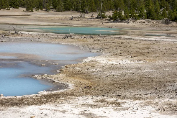 Norris Geyser Back Basin Parque Nacional Yellowstone Wyoming — Foto de Stock