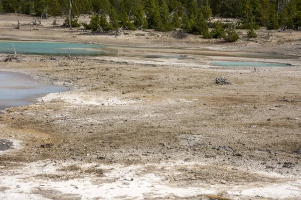 Norris Geyser Back Basin Parque Nacional Yellowstone Wyoming — Foto de Stock