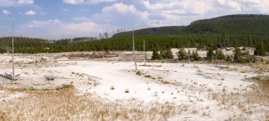 Wyoming 'de Yellowstone Milli Parkı 'nda Norris şofben geri Havzası