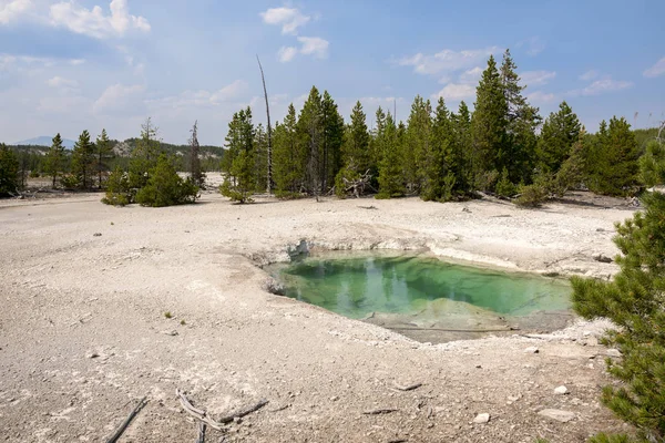 Norris Geyser Back Basin Parque Nacional Yellowstone Wyoming — Foto de Stock