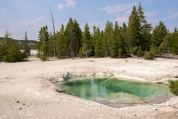 Norris Geyser Back Basin Parque Nacional Yellowstone Wyoming — Foto de Stock