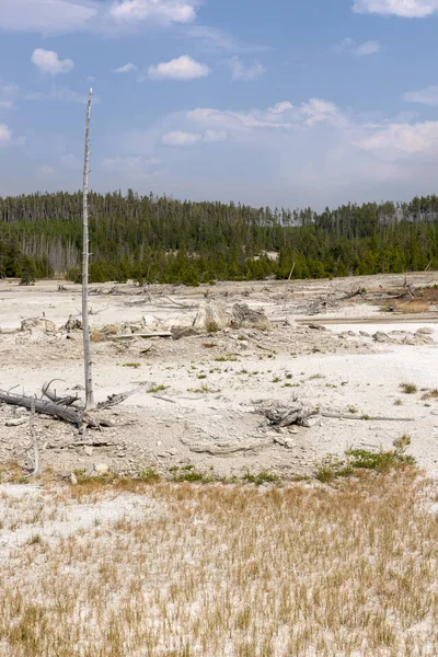 Norris Geyser Back Basin Parque Nacional Yellowstone Wyoming — Foto de Stock