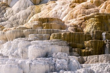 Amerika 'da Wyoming 'deki mamut kaplıcalarda termal yaylar ve kireçtaşı oluşumları