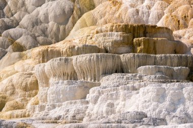 Amerika 'da Wyoming 'deki mamut kaplıcalarda termal yaylar ve kireçtaşı oluşumları