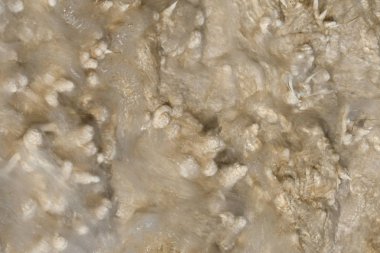 Amerika 'da Wyoming 'deki mamut kaplıcalarda termal yaylar ve kireçtaşı oluşumları