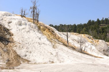 Amerika 'da Wyoming 'deki mamut kaplıcalarda termal yaylar ve kireçtaşı oluşumları