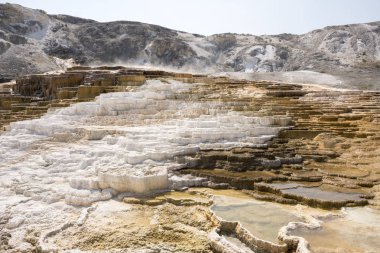 Amerika 'da Wyoming 'deki mamut kaplıcalarda termal yaylar ve kireçtaşı oluşumları