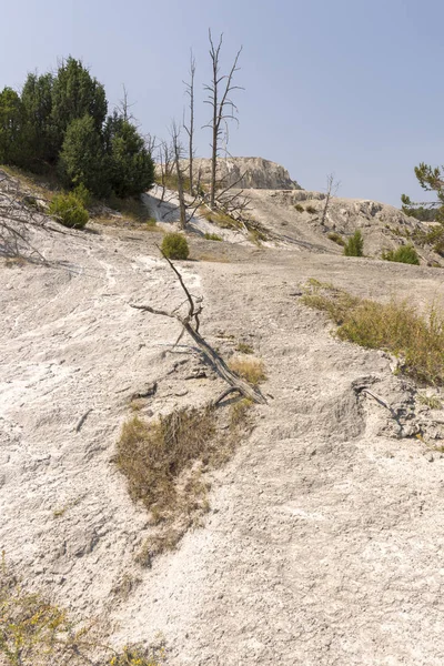 Sorgenti Termali Formazioni Calcaree Mammut Sorgenti Termali Wyoming America — Foto Stock