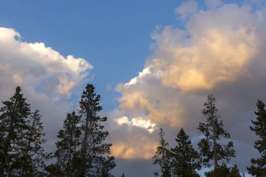 Wyoming Yellowstone Milli Parkı'nda gün batımı