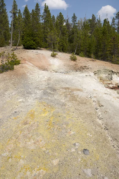 Norris Geyser Bacino Posteriore Nel Parco Nazionale Yellowstone Nel Wyoming — Foto Stock