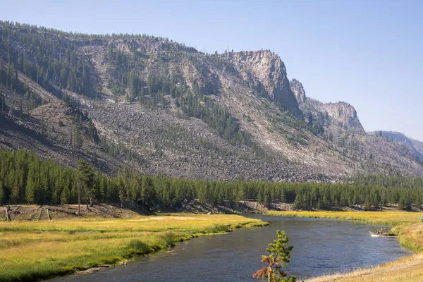 Asphalt Road Yellowstone National Park Wyoming — Stock Photo, Image