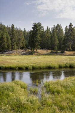 Wyoming yellowstone Milli Parkı Yellowstone Nehri