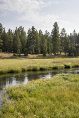 Wyoming yellowstone Milli Parkı Yellowstone Nehri