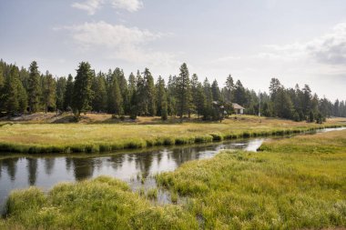 Wyoming yellowstone Milli Parkı Yellowstone Nehri