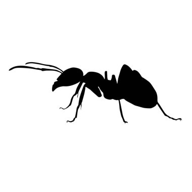 Küçük Karınca Siluet Vektör Biçimi