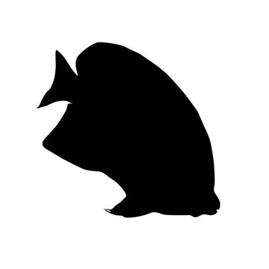 Melek Balığı Silueti Basit Vektör Biçimi