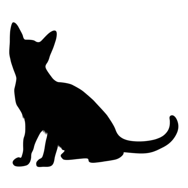 Abyssinian Cat Silhouette Απομονώνονται Λευκό — Διανυσματικό Αρχείο