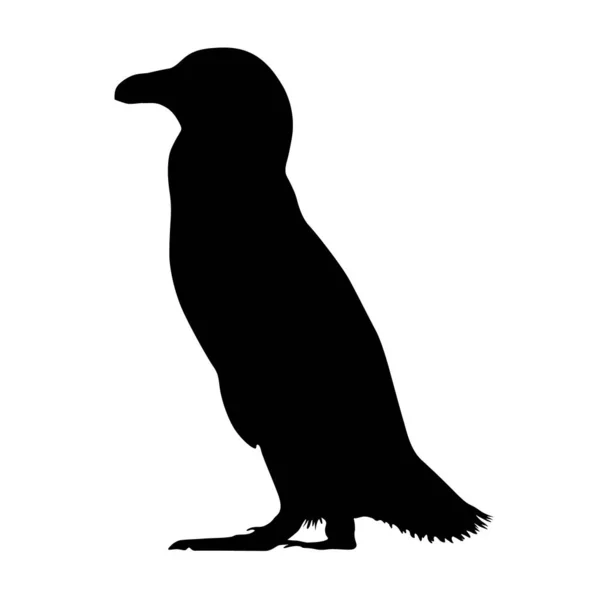 Afrikanischer Pinguin Silhouette Vektorstil — Stockvektor