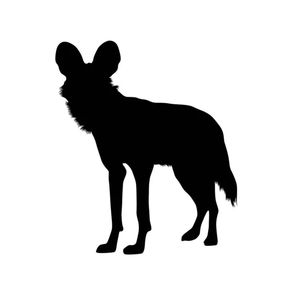 Vector Silueta Perro Salvaje Africano — Vector de stock