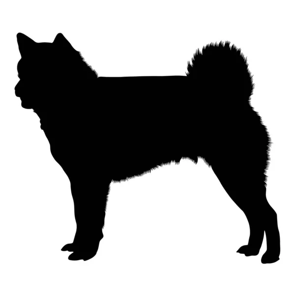 アイヌ犬シルエットベクトルスタイル — ストックベクタ