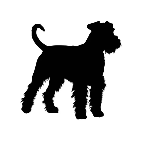 Airedale Terrier Silhouette Vector Estilo — Vetor de Stock