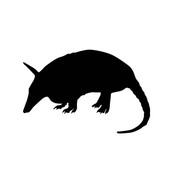 Álló Armadillo Silhouette Vektor Stílus Elszigetelt Fehér — Stock Vector