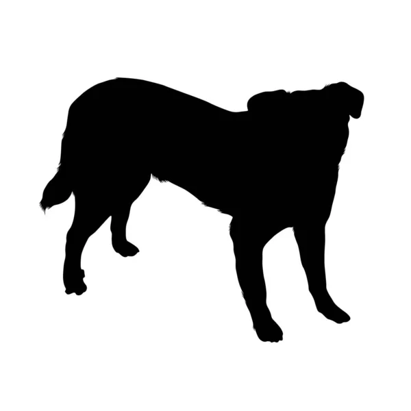Аппликатор Dog Black Silhouette Isolated White — стоковый вектор