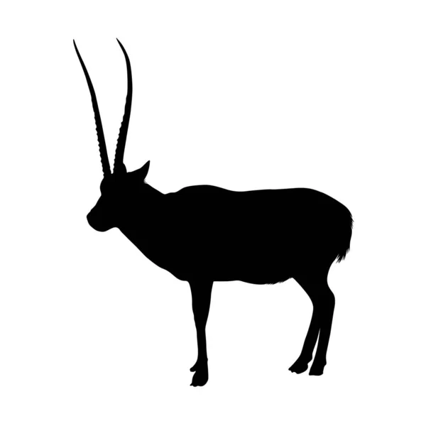 Standing Antelope Silhouette Vector Style — Stock Vector