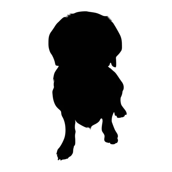 Alpine Daschsbracke Dog Silhouette Isolado Branco — Vetor de Stock