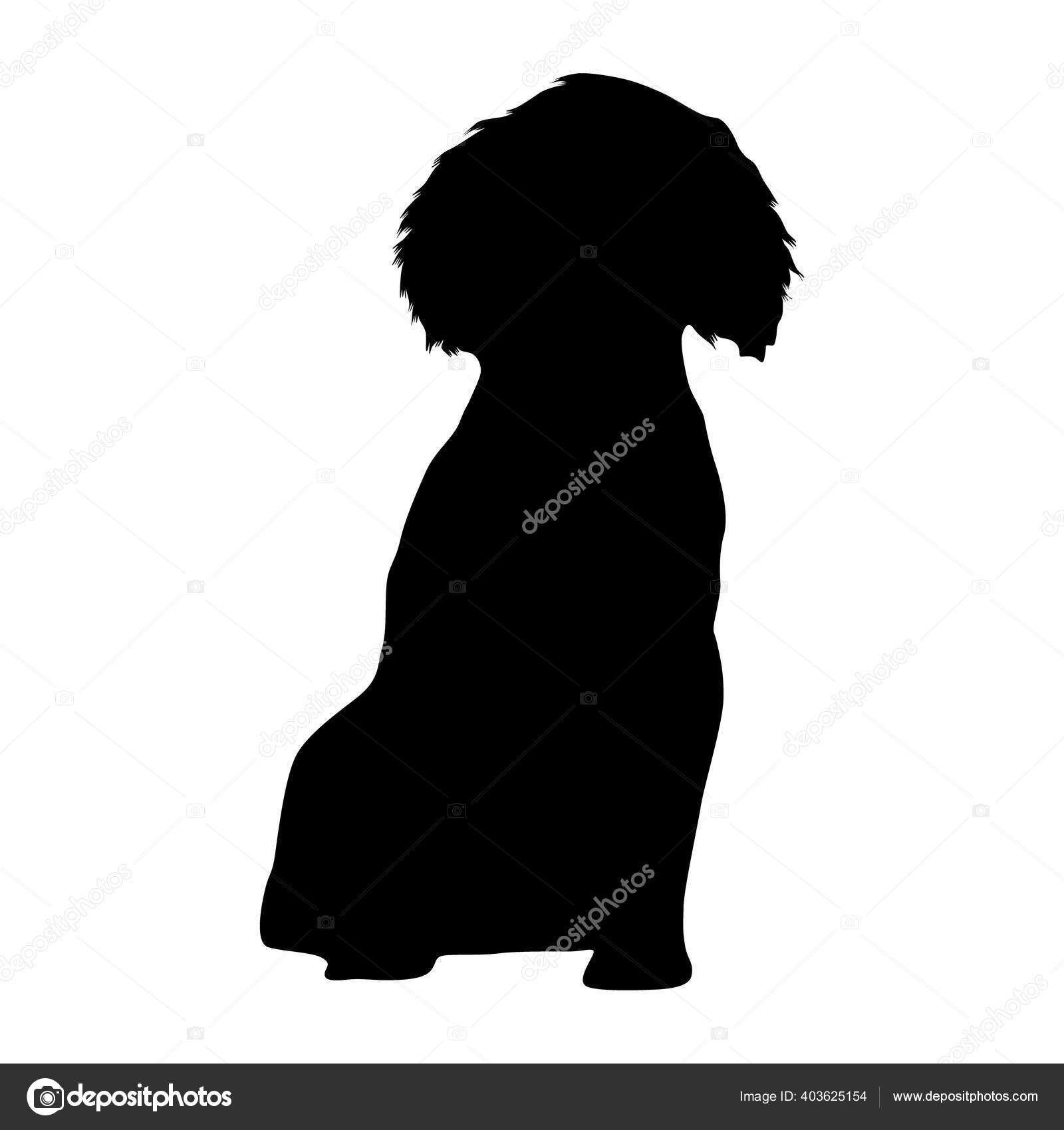 English Springer Spaniel Silhouette Found Map Europe Stock