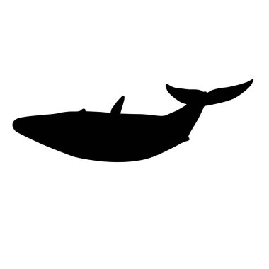 Mavi Balina (Balsenoptera Musculus) Dünya Çapındaki Okyanuslarda Yüzen Siluet