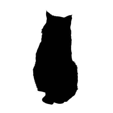 Şirin Vaşak (vaşak Rufus) Avlanmaya Hazır, Siluet, Kuzey Amerika