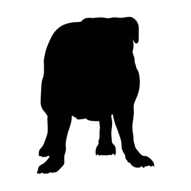 Fransız Buldog Simgesi Silueti Ön Görünüm