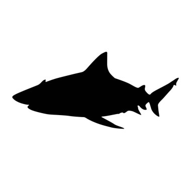 Amazon Nehri, Güney Amerika 'da Boğa Köpekbalığı