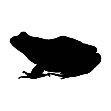 Avrupa Haritasında Ortak Kurbağa (Rana Temporaria) Siluet Vektörü Bulundu