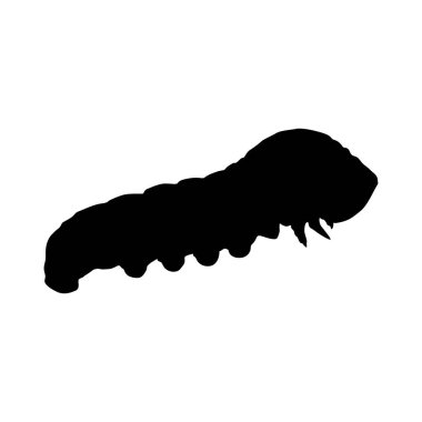 Tırtıl (Larva), Siluet Tarzı, Sınıf Böceği, Dünya çapında Konum