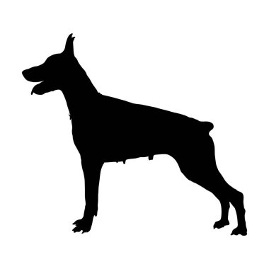 Doberman Pinscher Siluet Vektörü Avrupa Haritasında Bulundu